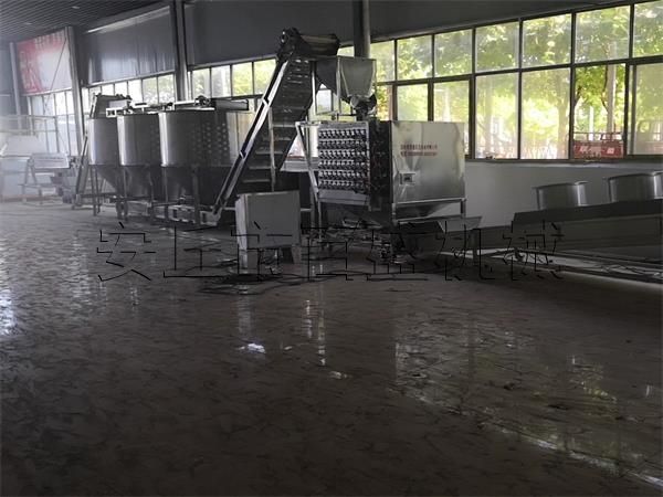 五香花生米生產線